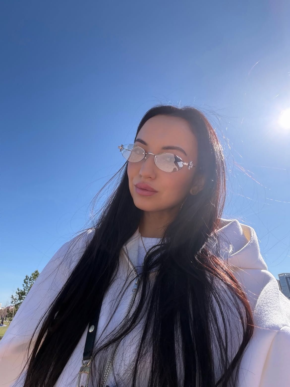 Aurora Rose